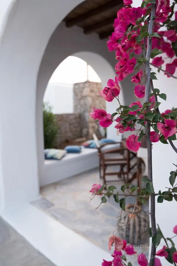 Our Beautiful House In Ornos, Mykonos别墅 别墅 奥诺斯